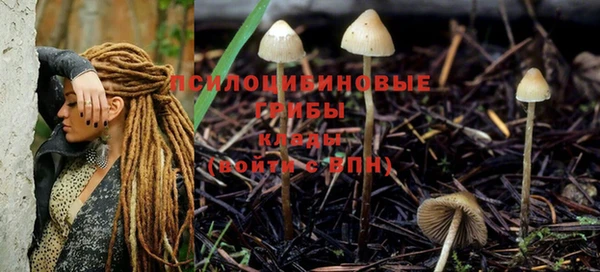 прущий лед Мегион
