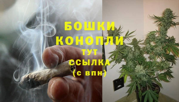 эйфоретик Кулебаки